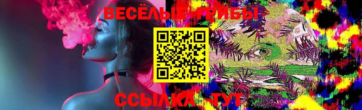 Кыштым  Псилоцибиновые грибы мухоморы  Вход с VPN 